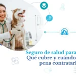 Seguro de salud para perros: qué cubre y cuándo contratarlo Seguro de salud para perros