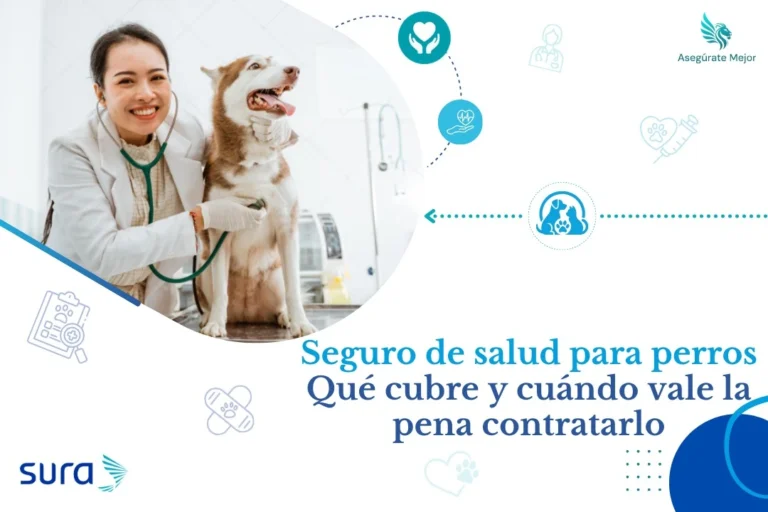 Seguro de salud para perros